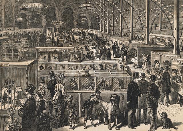 1877dogshow.jpg