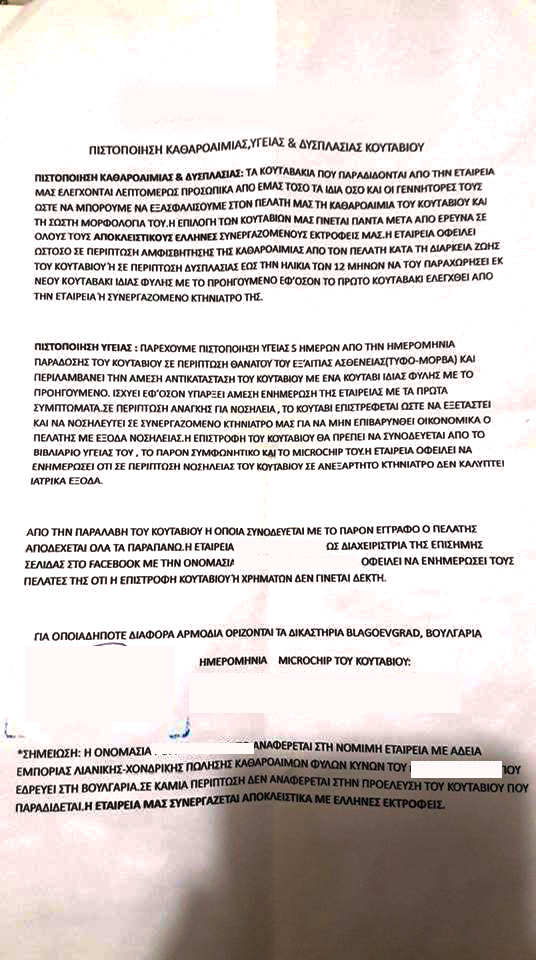 34266577 10215615425354805 6151669421698973696 n