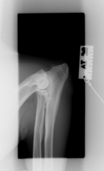 Image_5.jpg