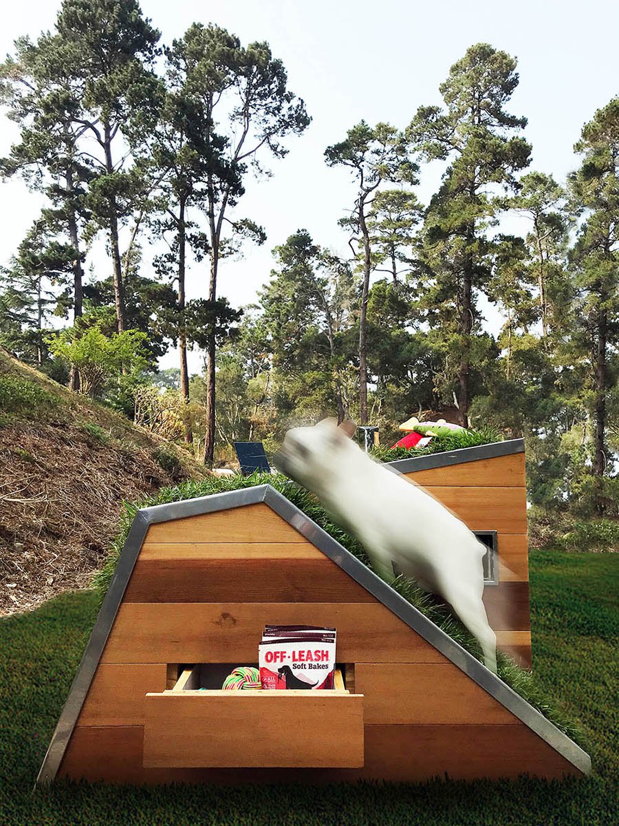 img 2 1535751912 7b61eafd613fc697d3e0d7a23917b67a