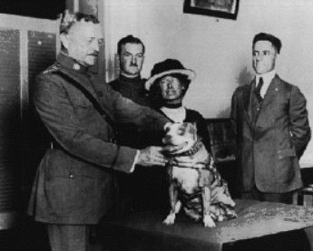sgtstubby4.JPG